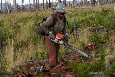 Sacaton Fire Chainsaw Operations