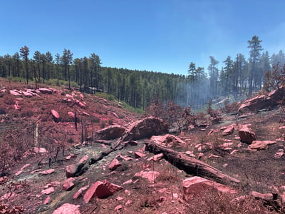 20260702 Ferris retardant drop