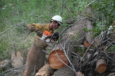 Sacaton Fire - Sawyer on Bearwallow Road
