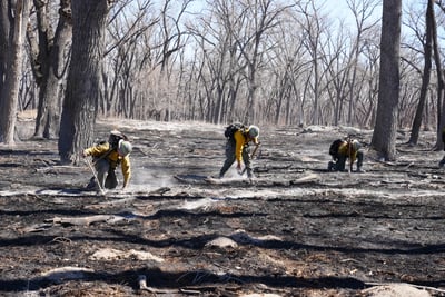 Firefighters Search and Destroy Sources of Heat