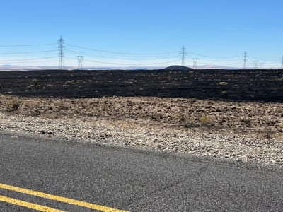 Hopkin Fire - Looking South