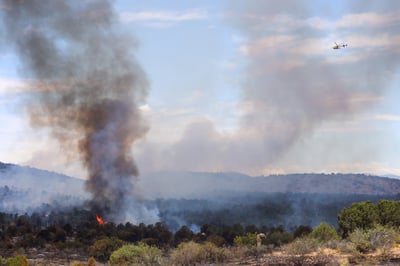 Division Alpha east side of the fire 062526
