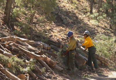 Repair work on Bear Fire 2026