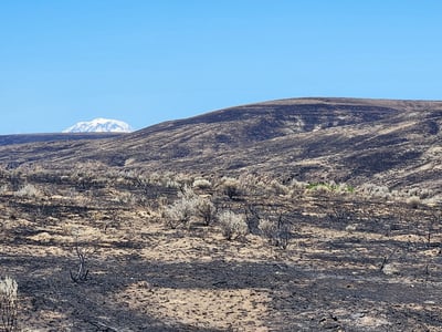 Photo of the Tule Road Fire with Mt Adams in the background