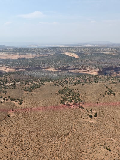 Red Retardant in Front of Burned Area