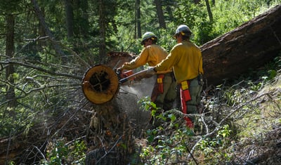 Crew Cutting Logs in Willow Creek