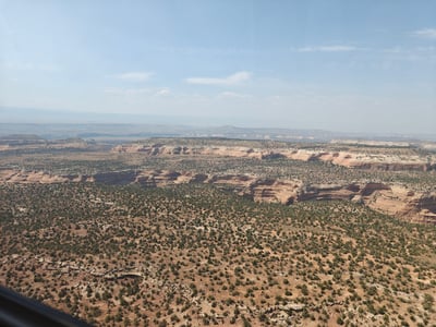 Terrain and Vegetation Found on the Snyder Fire