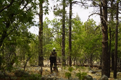 Seven Cabins Fire-Hotshots-May 21, 2026