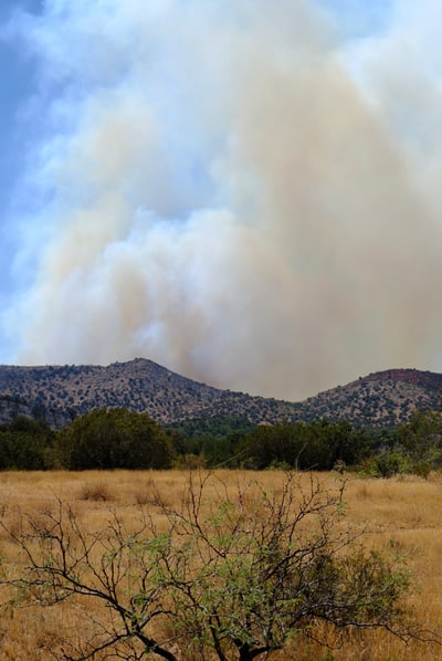 Fire activity east side 061926