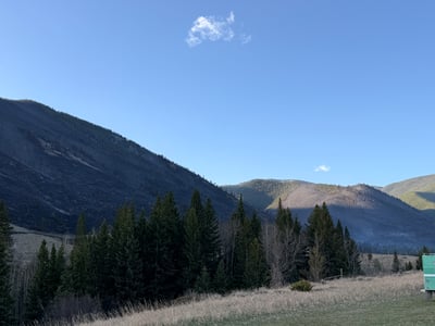 Western edge of the East Side Fire
