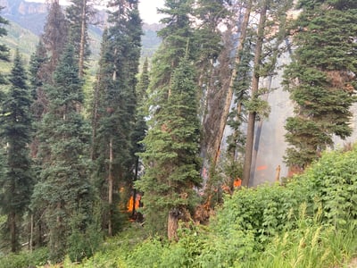 Gold Mt Fire Mixed-Conifer July 12, 2026