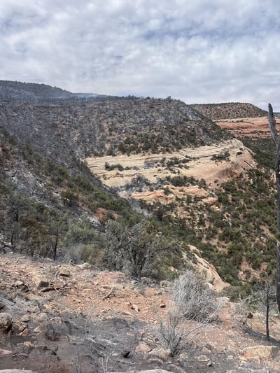 June 10th Beehive Fire Burned Area