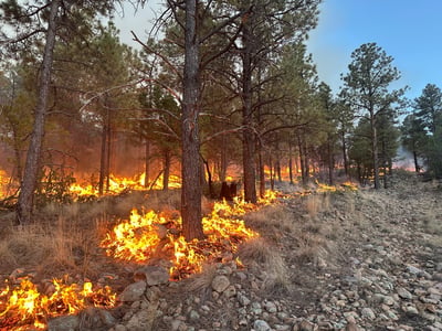 Seven Cabins Fire-Ground Ignitions-May 21,2026