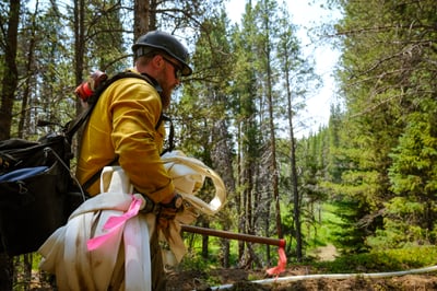 Crew member backhauls hose on the Willow Fire