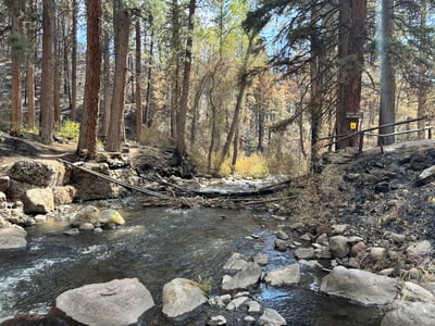 Beaver Creek at Ponderosa Picnic Area 7.12.26