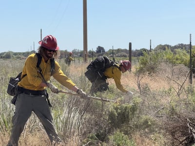 Firefighter removes brush along dozer line on the 4179 Tule Rd Fire