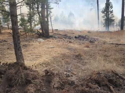 Fire behavior March 14, 2026