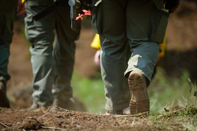 Willow Fire crews hiking into the fire area
