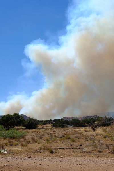 Fire activity east side 061926