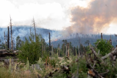 Sacaton Fire Smoke Column