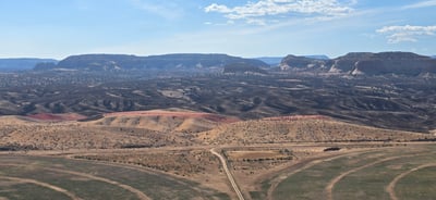 Burned Area and Retardant Line on the Snyder Fire
