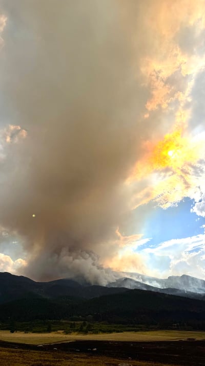 Thunder Mountain Fire Mitigation