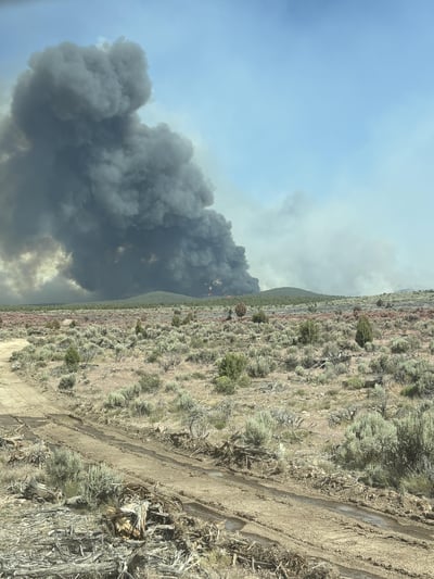 Grapevine Fire smoke plume on June 22, 2026