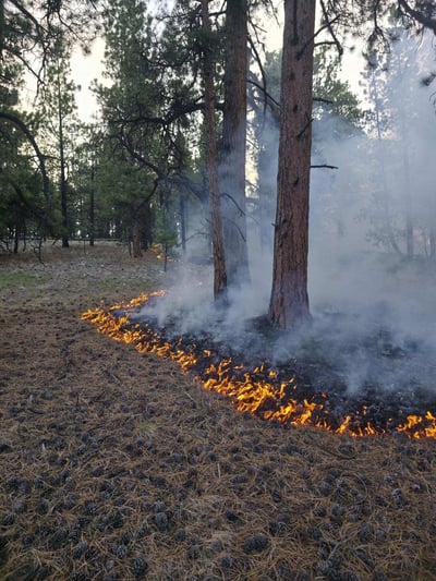 Low Intensity Fire Burns Resulting from Operations on t...