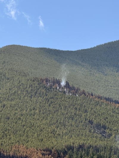 Smoke in the Timber on April 23