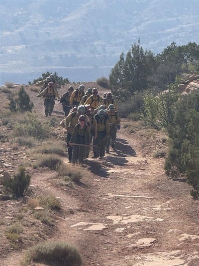 Hand Crew from Montana Working on the Snyder Fire