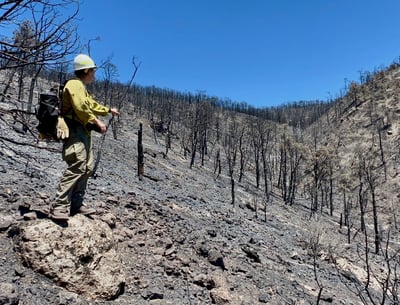Grapevine Fire Burn Scar on June 29, 2026