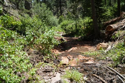 Willow Creek (After)