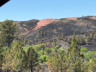 Burn Scar