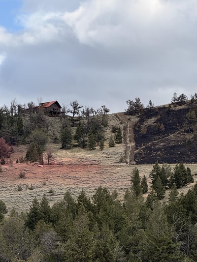 Retardant and Fireline with Hoselay