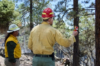 Incident Meteorologist on the Bear Fire