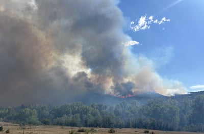 Smoke on the Gold Mountain Fire on July 9, 2026.