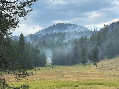 Hoselays near Olive Butte fire