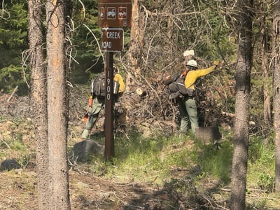 Firefighters brushing along Road