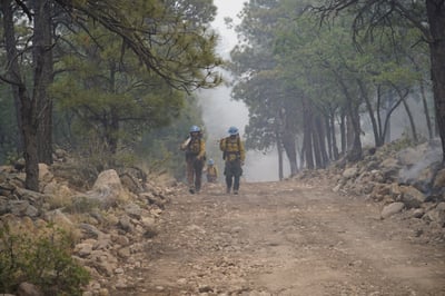 Seven Cabins Fire -firefighters walking the line
