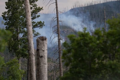 Sacaton Fire Snag 07-06-2026