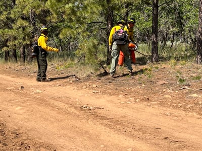 Crews Remove Fuels Along Defensive Lines