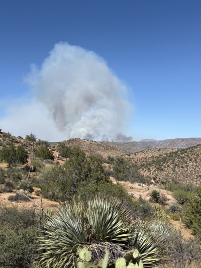 View of fire activity