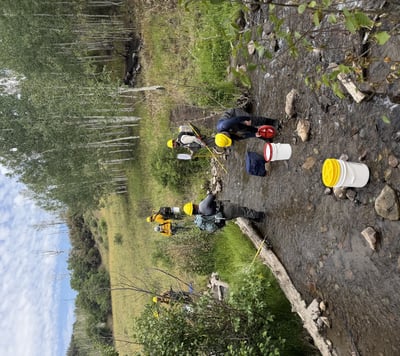 Nate Creek Cutthroat Trout Relocation on the Gold Mount...
