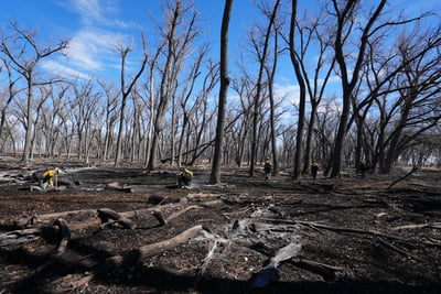 Searching for Hot Spots to Extinguish,