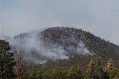 Smoke on hillside on Bear Fire