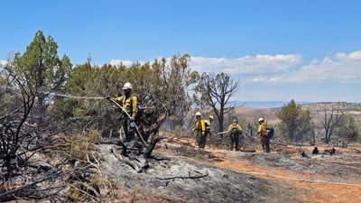 Firefighters Mopping Up on the East Side of the Fire, Saturday, July 4