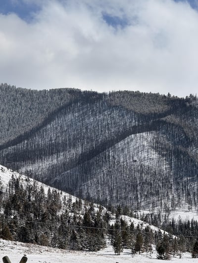 Part of the fire area on April 24