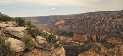 Snyder Fire Burned Area, June 30