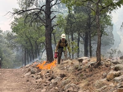 Seven Cabins Fire-Drip Torch-May 21, 2026