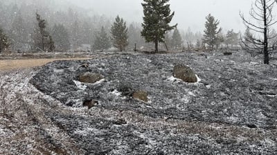 Snow falling on the East Side Fire